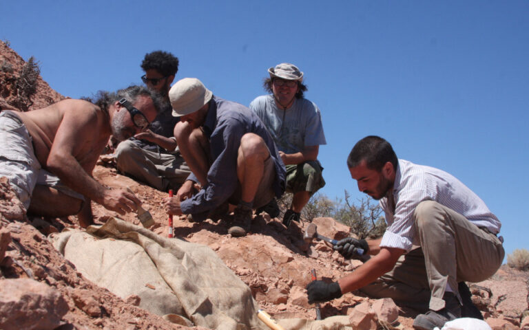 Ανακάλυψη απολιθωμάτων ενός μικρού «θωρακισμένου» δεινόσαυρου στη νότια Αργεντινή