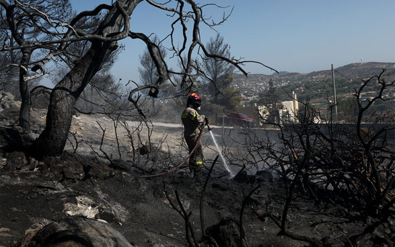 Συνολικά 33 δασικές πυρκαγιές το τελευταίο 24ωρο – Σε ύφεση η φωτιά στη Φθιώτιδα