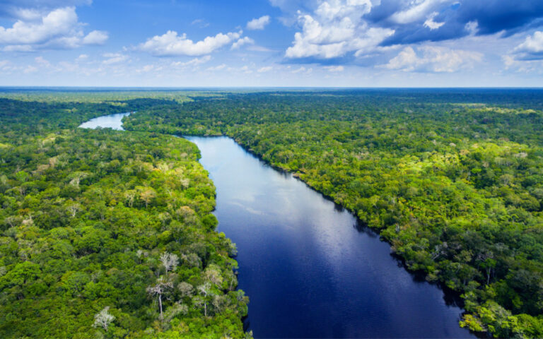 Ισημερινός: Διαρροή αγωγού πετρελαίου μολύνει ποταμό στον Αμαζόνιο