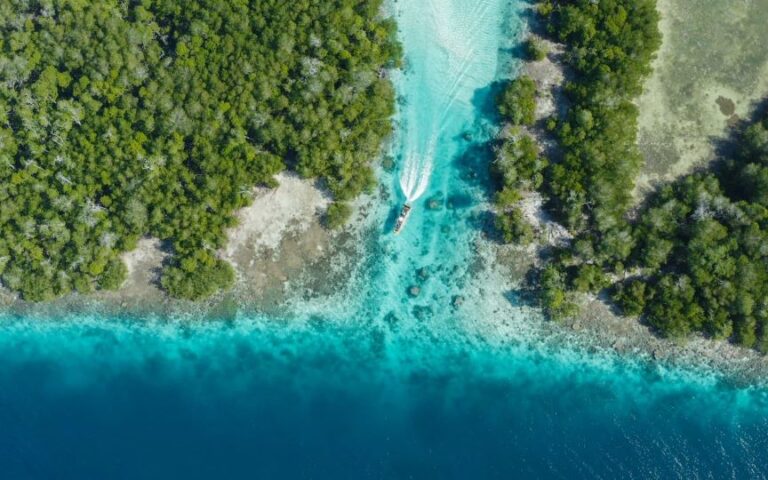 Ένα αρχιπέλαγος 100 νησιών ζητά δισεκατομμυριούχο ιδιοκτήτη