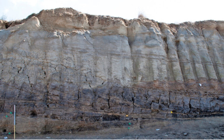 ΥΠΠΟΑ: Με σημαντικά ευρήματα ολοκληρώθηκε το 5ετές γεωαρχαιολογικό πρόγραμμα στη Μεγαλόπολη