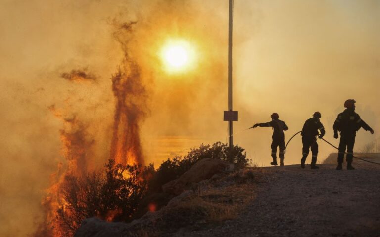 Λέκκας: Περιβαλλοντική κατάρρευση προκαλούν οι φωτιές – Θα γίνουμε Ντουμπάι
