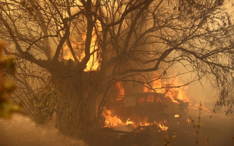 ΥΠΕΝ: 245.299 στρέμματα κάηκαν στο Εθνικό Πάρκο Δάσους Δαδιάς