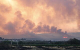 Αλεξανδρούπολη: Από σήμερα οι αιτήσεις οικονομικής ενίσχυσης των πυρόπληκτων