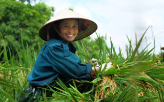 Βιετνάμ: Στρέφονται στην παραγωγή durian και αβοκάντο αντί για τον καφέ- Ποιος είναι ο αντίκτυπος παγκοσμίως;