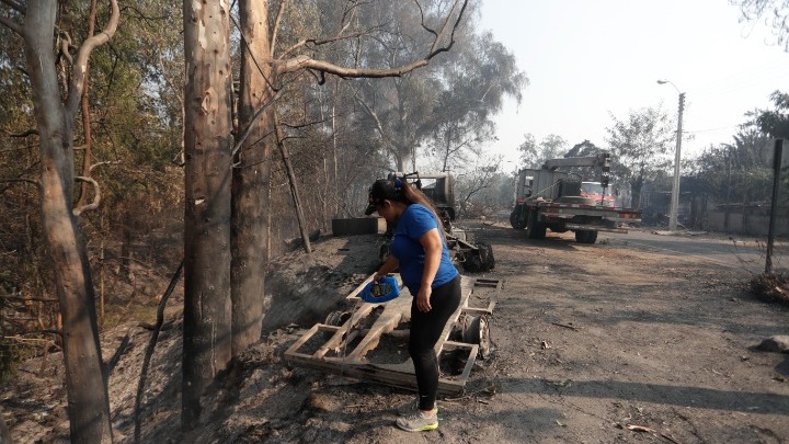 Χιλή: Τουλάχιστον 19 νεκροί σε δασικές πυρκαγιές