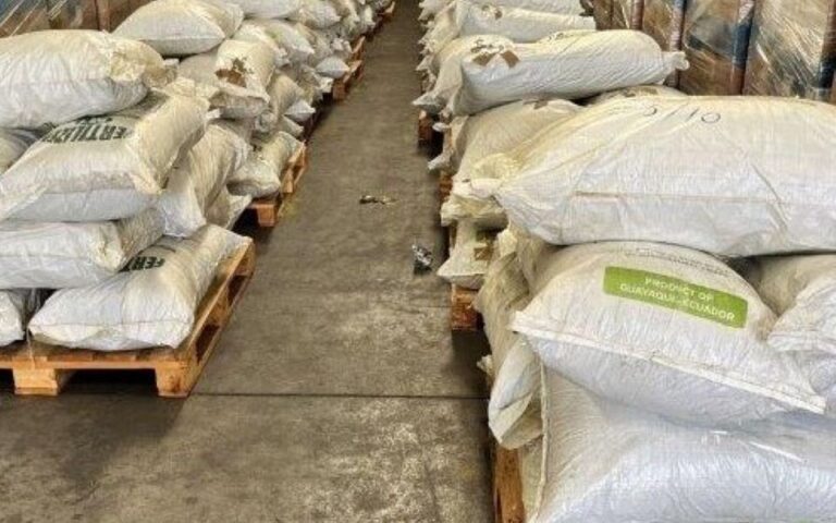 ΑΑΔΕ: Μεγάλη ποσότητα φύλλων κοκαΐνης σε φορτία λιπασμάτων στον Πειραιά