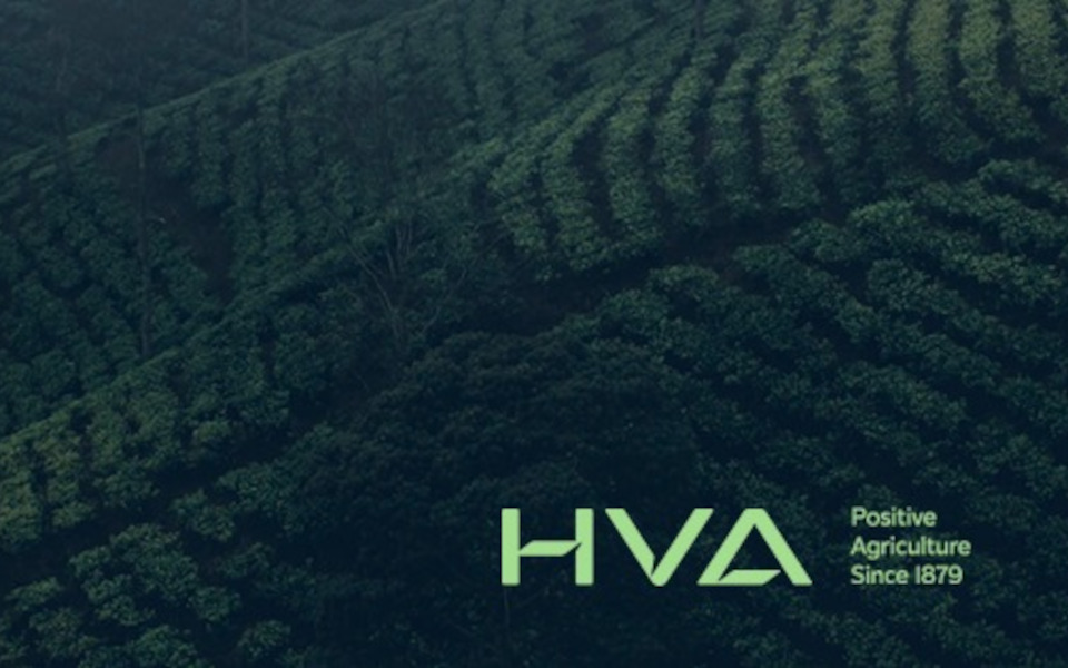HVA: Η ολλανδική εταιρεία που θέλει να επενδύσει 1 δισ. στη Θεσσαλία – Τι πρέπει να παράγει-1